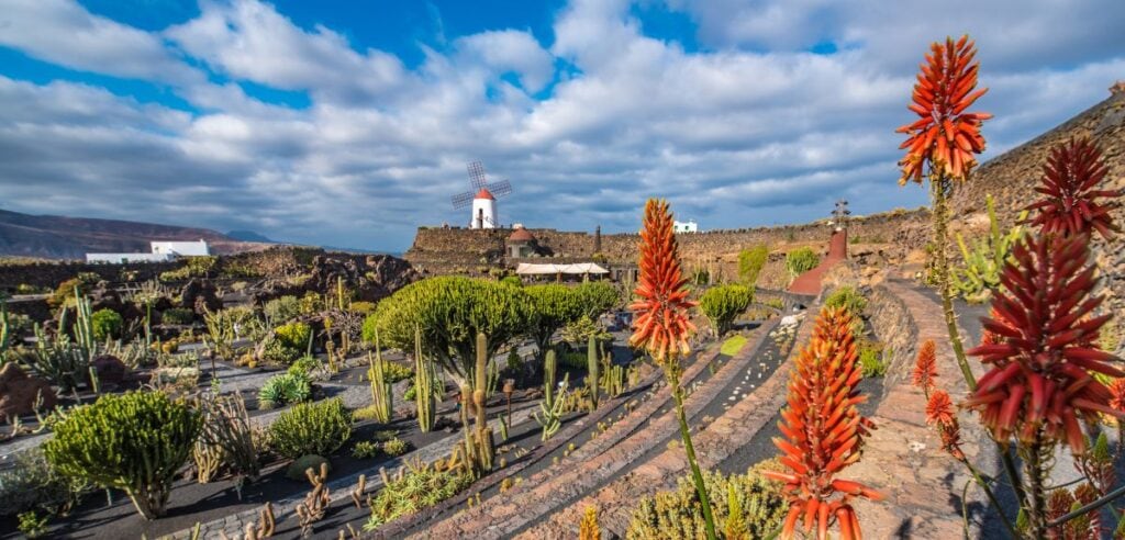 Vista panorámica del Jardín de Cactus