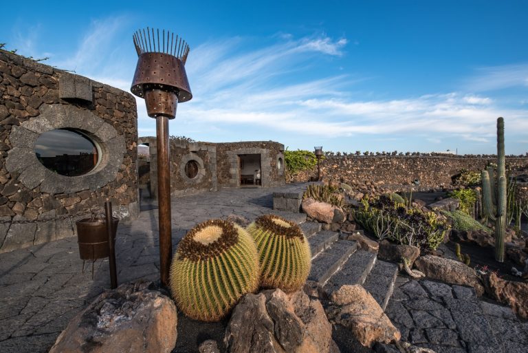 Jardín de Cactus